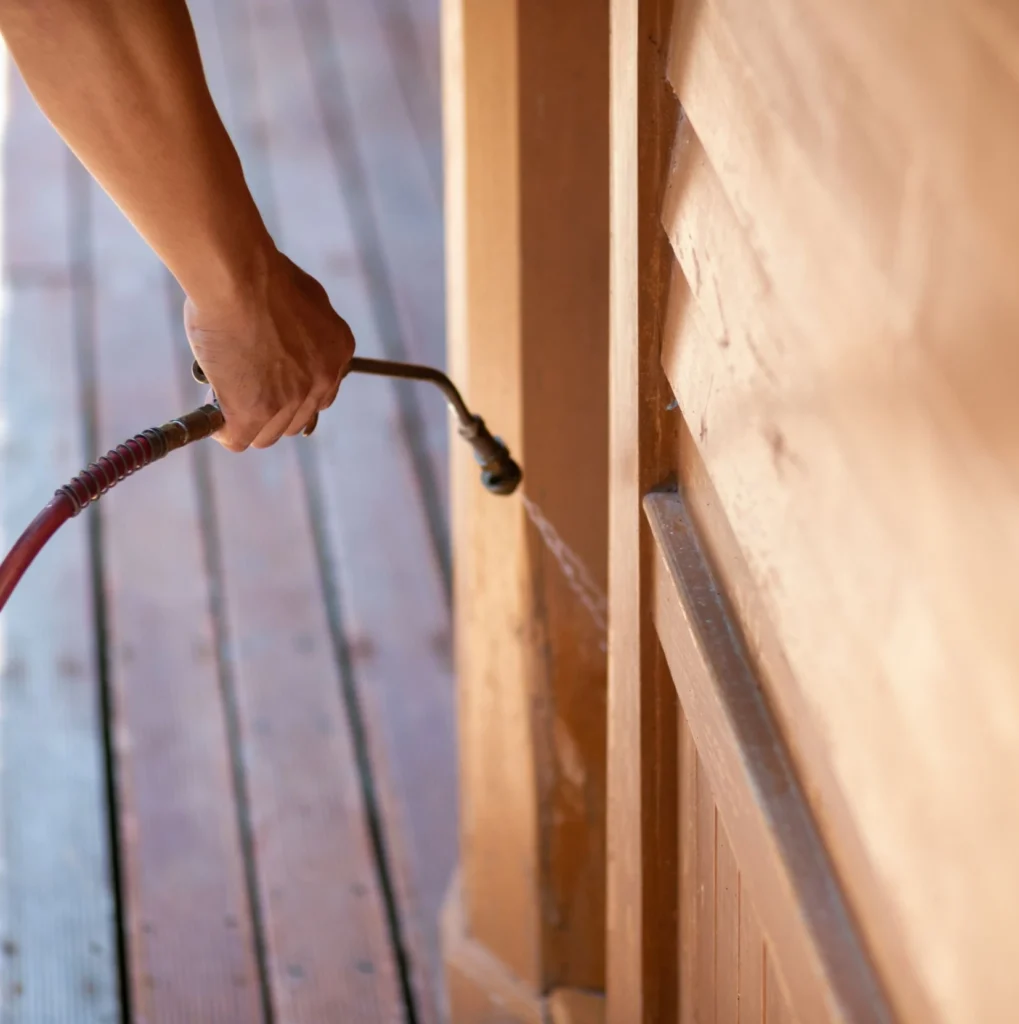 Trusted Pest Control - Central Islip Pest Control Pros | Central Islip, NY | 631-735-6099